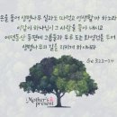 생명과가 있는 하나님의 교회 이미지