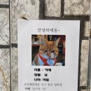 행복두배 템플스테이로 남양주 봉인사 다녀온 후기