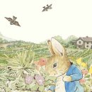 수채화 드로잉 이미지