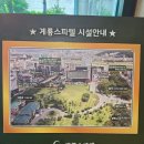 계룡환경 | 계룡 스파텔 숙박 후기 🏨 | 편안한 휴식이 인상적