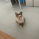 남산팡팡노래연습장 | 빠르게 지나가버린 또 한 주(feat. 워터밤🐳)