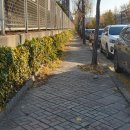 용연로 98번길 이미지