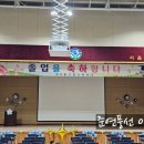 서울고일초등학교 이미지