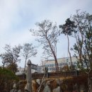 신금1길 | [공주]법원 앞 정원이 예쁜 소금빵•버터떡•두쫀쿠 맛집 카페 추천 | 17커피 공주점 내돈내산 후기