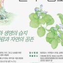 생태세밀화 이미지