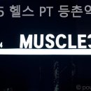 머슬365 이미지