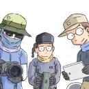 제주 돌고래 이미지