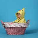 선우정보통신 이미지