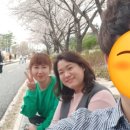 대잠약국 이미지