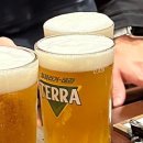 금별맥주 당진CGV점