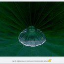 너른마당 - 해남군 동해길 106-41 | 너른마당