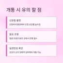 지에스25 논산부국점 | 논산 선불 유심 자가개통 성공 후기