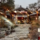 파주 헤이리 맛집 막걸리주는 황금코다리 파주 가볼만한곳