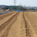 준서농장 이미지