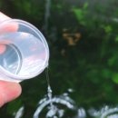 플랜츠플로라 네이버블로그