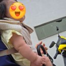 황학시장 | 서울 중구 기호네곱창 본점 내돈내산 후기 신당동 서울중앙시장 곱창 맛집 추천