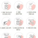 야채왕자 과일공주 이미지