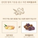 하루 한포로 우리몸에 건강을 ~! 함소아 건강더함 파비플로라 400 복용해보았어요 :)
