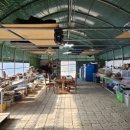 진해농장 이미지