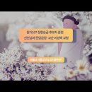 교구정 이미지
