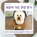 디자인바이펫 | 강아지유모차가드 쿠션, 슬개골 보호까지 되는 돌체펫 개모차가드 후기