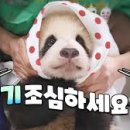 김박사썬팅