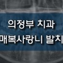 진치과 이미지