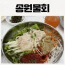 송원 | 부산 로컬맛집 - 송정 송원물회 내돈내산 솔직후기