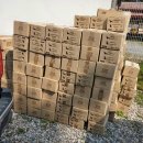 통일로 동물병원 이미지