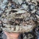 중하농장 이미지