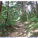 모전주유소 이미지