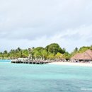 파라다이스 이미지