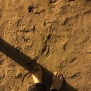 리라아름유치원 이미지