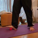 온더볼운동 | [멜킨밸런스보드] 코어힘 키우는 운동, 멜킨 밸런스보드운동 후기 + 덤벨, 마사지볼