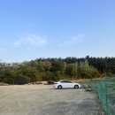 로아누