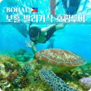 보홀 발리카삭 호핑투어 거북이 돌고래 놀다보홀 후기 고래상어투어 중단
