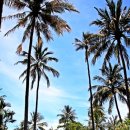 아름다운리조트 이미지