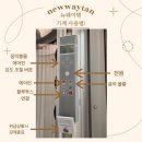 뉴웨이탠