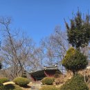 쌍효각 | 충주의 문화유산 44 - 임천조씨 조재의,조재미 쌍효각(대소원면)