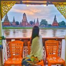 (주)강아유 이미지