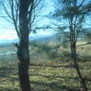 공갈못 연꽃한우촌 이미지