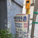 새삼합한정식식당 | [신안촌 간판 교체 후기] 광화문 40년 전통 남도맛집, 새 단장 완료!