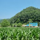 6월 천안 광덕산 등산코스 최단코스 난이도 후기, 콩국수 맛집 추천