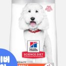 퍼펙트바이트 이미지