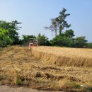 푸마농장 이미지