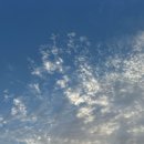 세븐일레븐 원주대성현대점 | [9월 2주] 세상 제일 신나게 놀았던 복학생의 축제로그🎵