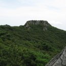 멍멍하니? 이미지