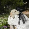 팔공티이마트 - 북구 침산로 93 | 팔공티이마트