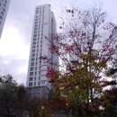 동화길-1 네이버블로그