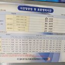 양지카센타 이미지